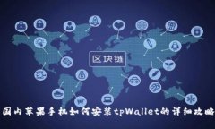 国内苹果手机如何安装t