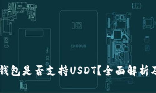 : Ledger钱包是否支持USDT？全面解析及使用指南