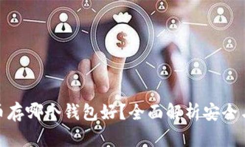 数字货币存哪个钱包好？全面解析安全与便捷性