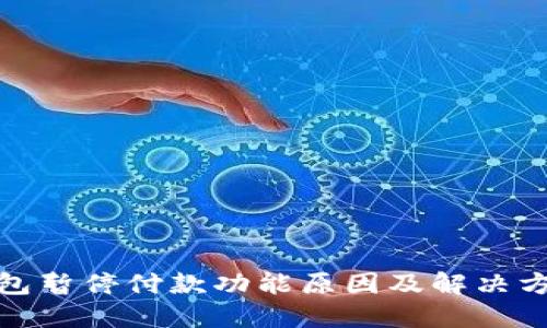 数字钱包暂停付款功能原因及解决方案详解