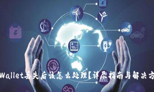 tpWallet丢失后该怎么处理？详尽指南与解决方案