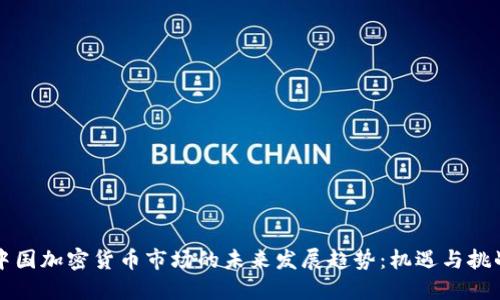 中国加密货币市场的未来发展趋势：机遇与挑战