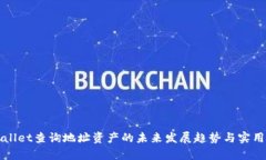 tpWallet查询地址资产的未来