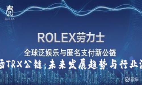 波场TRX公链：未来发展趋势与行业潜力