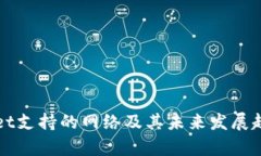 tpWallet支持的网络及其未来