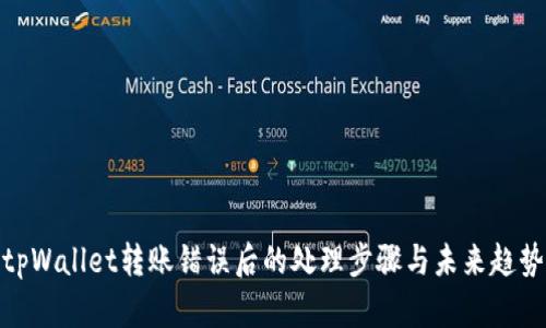 tpWallet转账错误后的处理步骤与未来趋势
