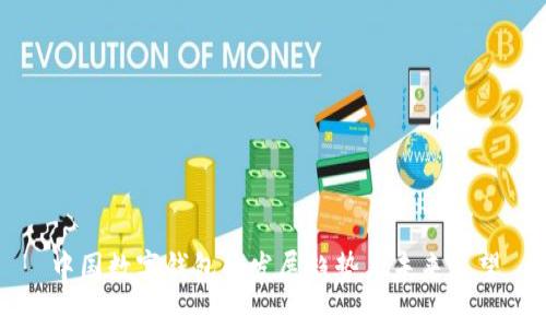 中国数字钱包的发展趋势与未来展望