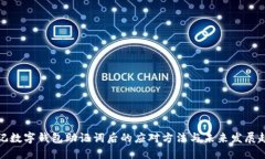 忘记数字钱包助记词后的