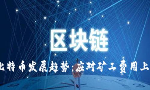 2024年比特币发展趋势：应对矿工费用上涨的策略