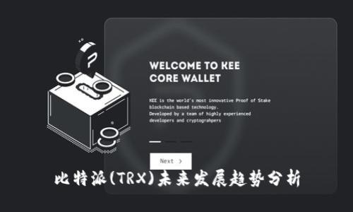 比特派(TRX)未来发展趋势分析