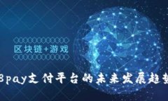 探索988pay支付平台的未来