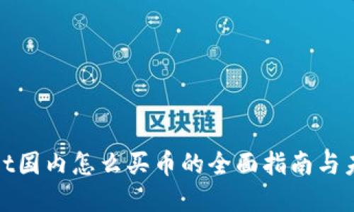 tpWallet国内怎么买币的全面指南与未来趋势