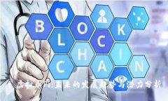 : 虚拟币Pi：未来的发展趋