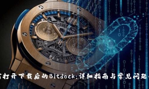 如何打开下载后的Bitdock：详细指南与常见问题解答
