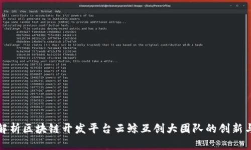 全面解析区块链开发平台云鲸互创大团队的创新与优势