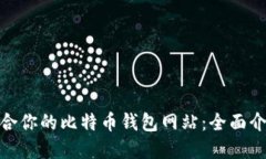 选择最适合你的比特币钱