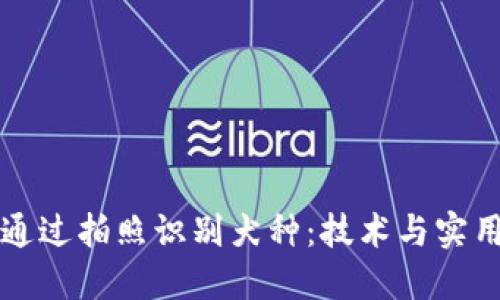 如何通过拍照识别犬种：技术与实用指南