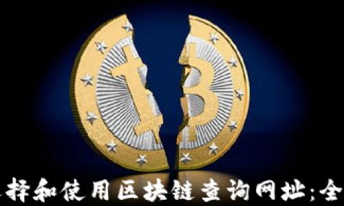 
如何选择和使用区块链查询网址：全面指南