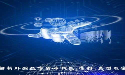 全面解析外国数字货币钱包：选择、类型及安全性