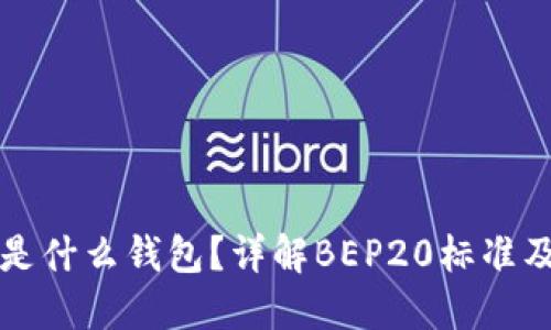 BEP20是什么钱包？详解BEP20标准及其应用