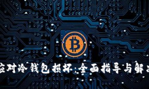 如何应对冷钱包损坏：全面指导与解决方案