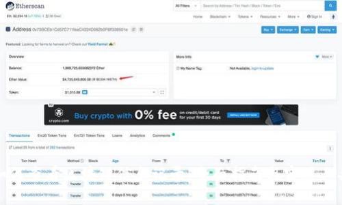 如何查看区块链信息记录：全面指南与实用工具