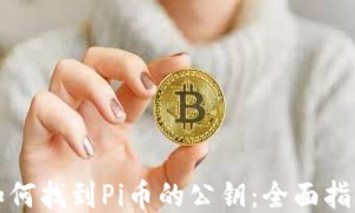 
如何找到Pi币的公钥：全面指南